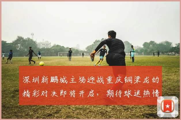 深圳新鹏城主场迎战重庆铜梁龙的精彩对决即将开启，期待球迷热情助威