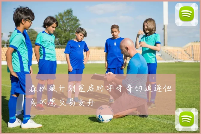 森林狼计划重启对字母哥的追逐但或不愿交易麦丹