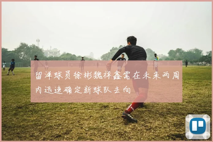 留洋球员徐彬魏祥鑫需在未来两周内迅速确定新球队去向
